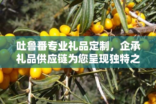 吐鲁番专业礼品定制，企承礼品供应链为您呈现独特之选